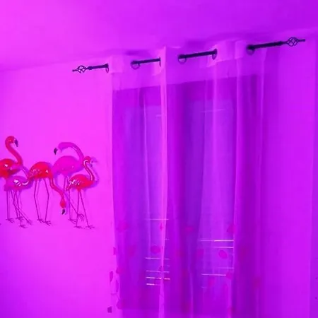 Apartamento La Casa Colorata *