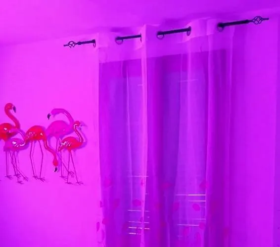 Lejlighed La Casa Colorata *